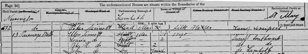 Peter Sinnott On 1881 Census