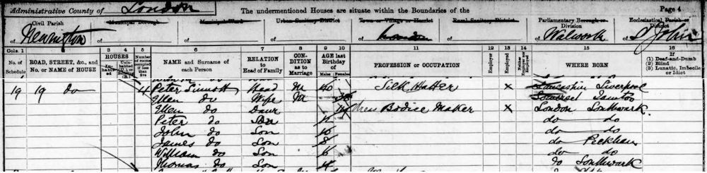 Peter Sinnott On 1891 Census