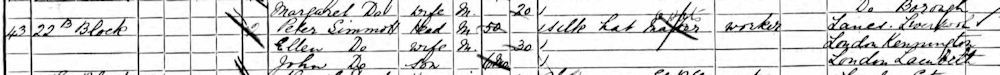 Peter Sinnott On 1901 Census With Second Wife Ellen Coker