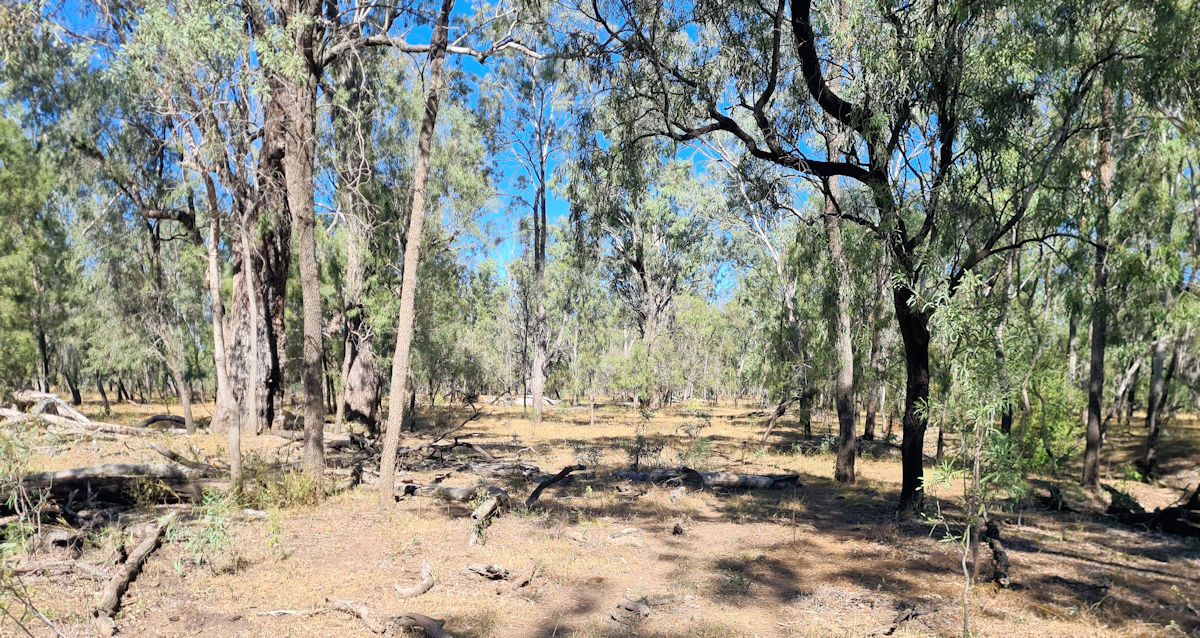 Where the Boolburra racetrack once was