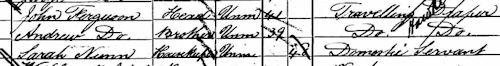 Sarah Nunn on 1881 census