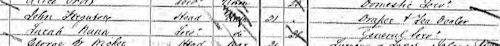 Sarah Nunn on 1871 census